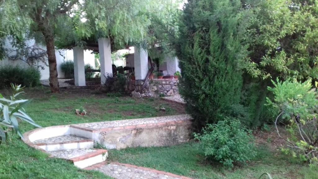 Villa Casas De Almajar à Prado Del Rey Extérieur photo