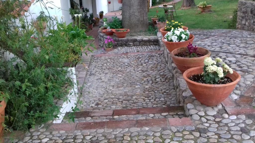 Villa Casas De Almajar à Prado Del Rey Extérieur photo