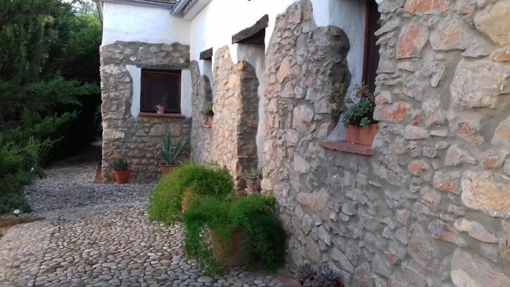 Villa Casas De Almajar à Prado Del Rey Extérieur photo